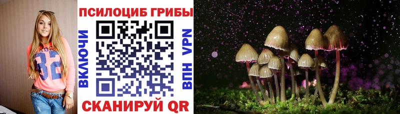 Галлюциногенные грибы мицелий  наркошоп  Белоярский 